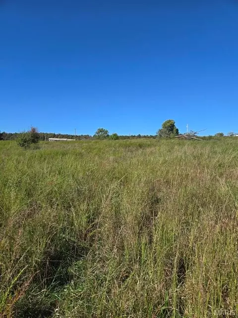 000 County Road 455, Birch Tree, MO 65438 photo 14