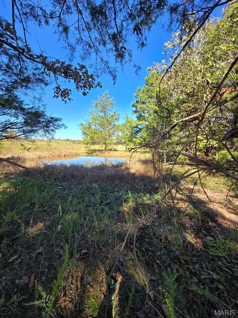 000 County Road 455, Birch Tree, MO 65438 photo 18