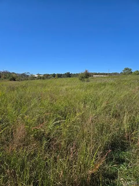 000 County Road 455, Birch Tree, MO 65438 photo 3