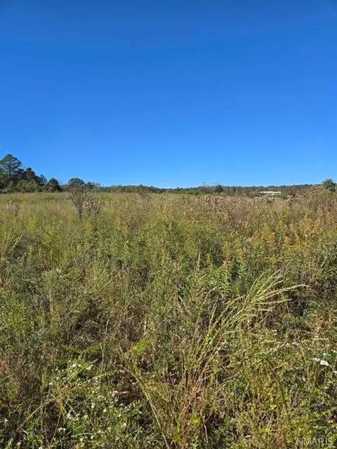 000 County Road 455, Birch Tree, MO 65438 photo 8