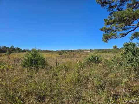 000 County Road 455, Birch Tree, MO 65438 photo 4