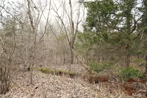 Exterior - 00 Roderick Rd, Cadet, MO 63630 photo 1 of 7