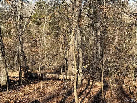 Other - 00 Roderick Rd, Cadet, MO 63630 photo 25 of 25
