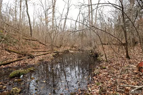 Other - 00 Roderick Rd, Cadet, MO 63630 photo 21 of 25