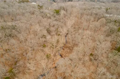Other - 00 Roderick Rd, Cadet, MO 63630 photo 6 of 25