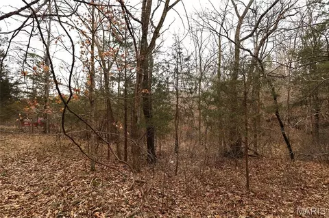 Exterior - 00 Roderick Rd, Cadet, MO 63630 photo 5 of 7