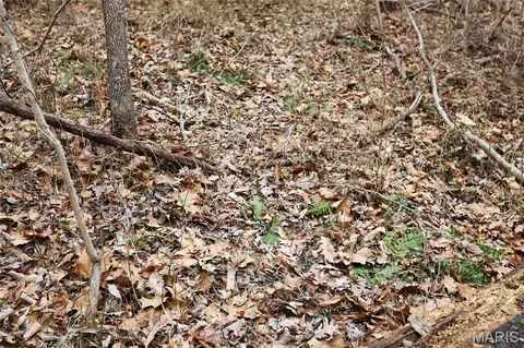Other - 00 Roderick Rd, Cadet, MO 63630 photo 20 of 25