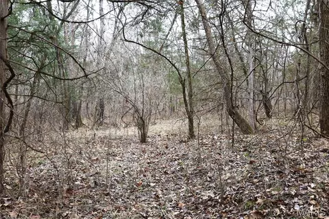 Exterior - 00 Roderick Rd, Cadet, MO 63630 photo 2 of 7