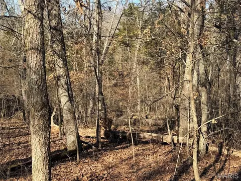 Other - 00 Roderick Rd, Cadet, MO 63630 photo 24 of 25