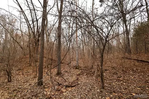 Exterior - 00 Roderick Rd, Cadet, MO 63630 photo 3 of 7