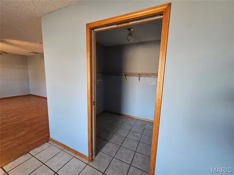 Other - 9126 Baldwin Rd, Baldwin, IL 62217 photo 7 of 8