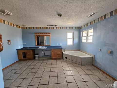 Bath - 9126 Baldwin Rd, Baldwin, IL 62217 photo 1 of 3