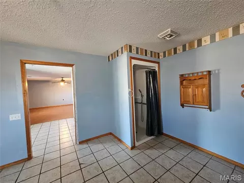 Other - 9126 Baldwin Rd, Baldwin, IL 62217 photo 8 of 8
