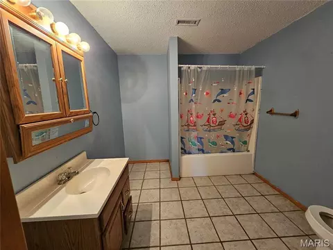 Bath - 9126 Baldwin Rd, Baldwin, IL 62217 photo 2 of 3