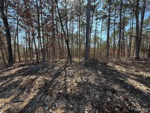 10066 Fish Hook Rd, Potosi, MO 63664