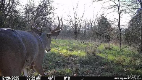 4260 N State Highway H, Springfield, MO 65803 photo 9