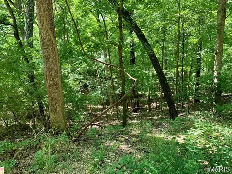 lot1 Greenwood Acres, Imperial, MO 63052 photo 7