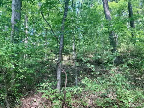 lot1 Greenwood Acres, Imperial, MO 63052 photo 5