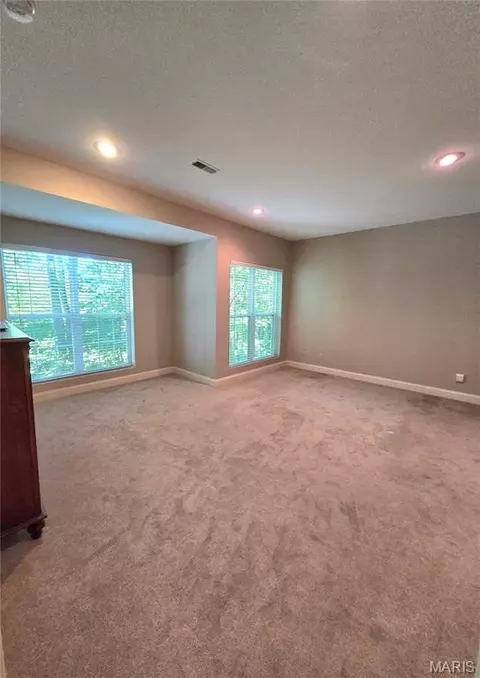Other - 364 Whispering Forest Ln, Pacific, MO 63069 photo 5 of 6