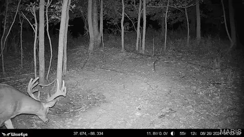 00 Kedron Rd, Equality, IL 62934 photo 59