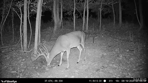 00 Kedron Rd, Equality, IL 62934 photo 13