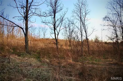 00 Kedron Rd, Equality, IL 62934 photo 21