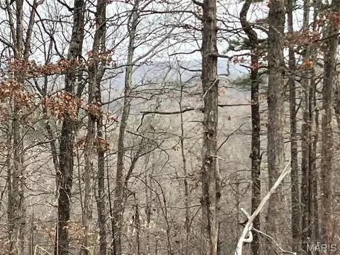 207 Madison Cr 410, Fredericktown, MO 63645