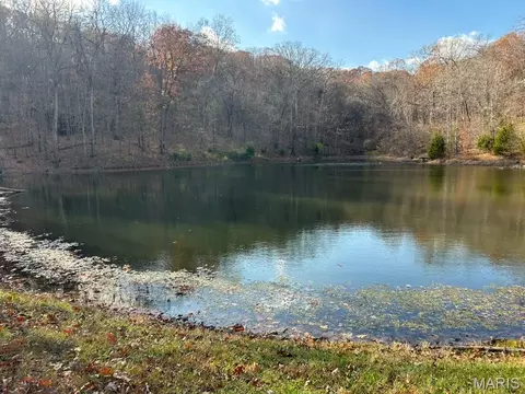 59 R The Bluffs Dr, Eureka, MO 63025 photo 12