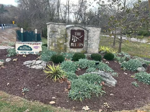 59 R The Bluffs Dr, Eureka, MO 63025 photo 6