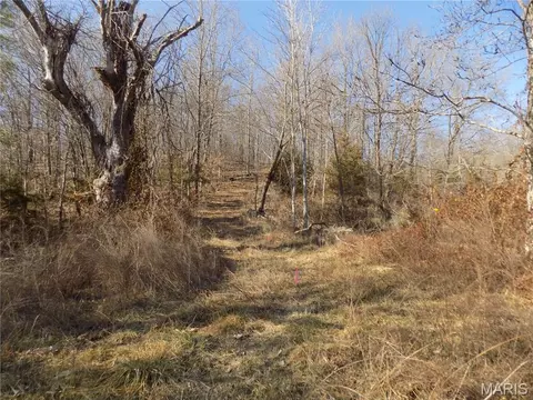 38320 Highway 21, Lesterville, MO 63654