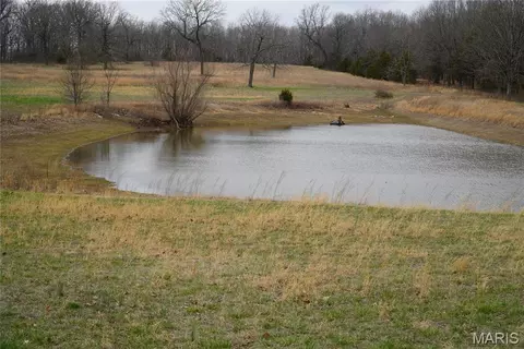 18143 Oasis Dr, Phillipsburg, MO 65722