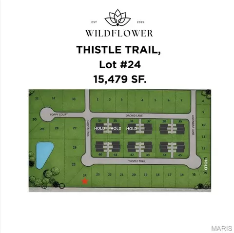 1208 Thistle Trl, Litchfield, IL 62056