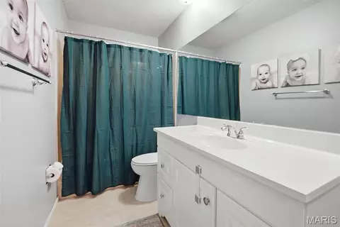Bath - 8 Windfall Ridge Ct, Chesterfield, MO 63005 photo 4 of 4