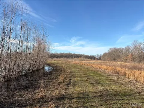 Other - 0 Highway 51, Dudley, MO 63841 photo 3 of 8