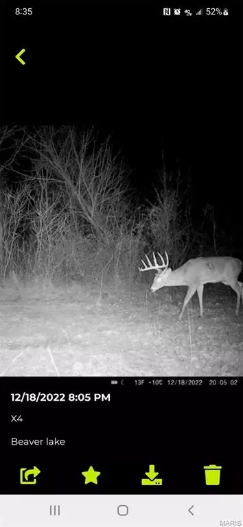 Other - 0 Highway 51, Dudley, MO 63841 photo 4 of 8