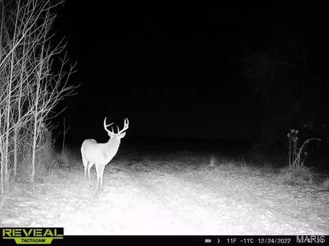 Other - 0 Highway 51, Dudley, MO 63841 photo 5 of 8
