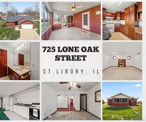 725 Lone Oak St, Saint Libory, IL 62282