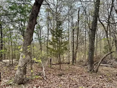 000 Forest Dr, Houston, MO 65483 photo 9