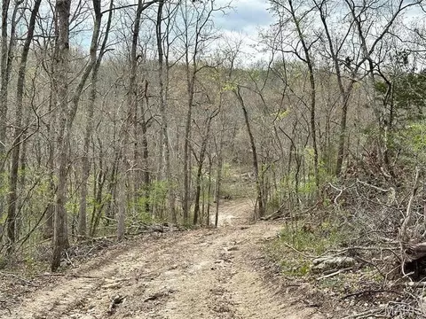 000 Forest Dr, Houston, MO 65483 photo 8
