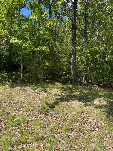 000 Plaza Ln, Lebanon, MO 65536