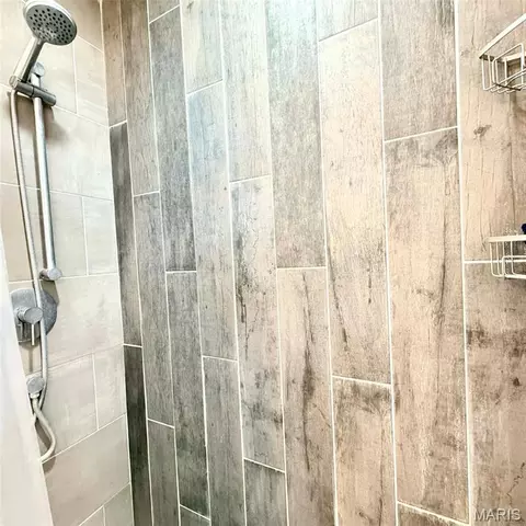 Bath - 205 N Waller St, Crocker, MO 65452 photo 1 of 4