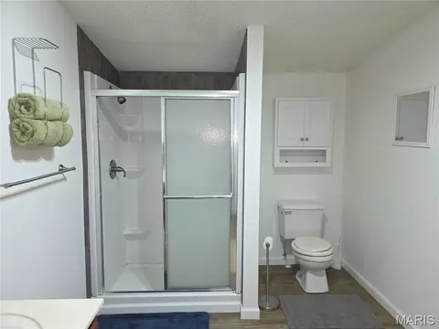377 S Oak, Wappapello, MO 63966 photo 9