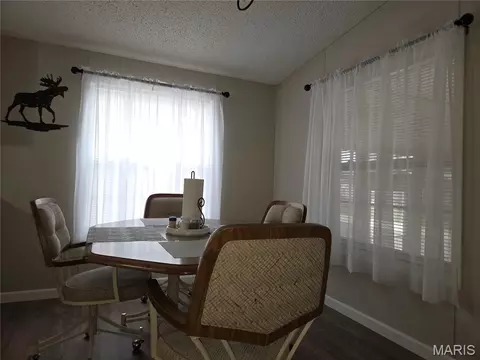 377 S Oak, Wappapello, MO 63966 photo 5