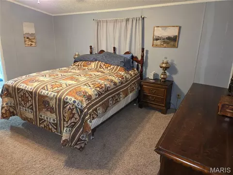 377 S Oak, Wappapello, MO 63966 photo 7