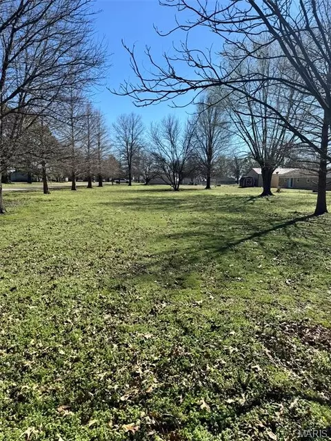 Other - 107 E Wilkey, Risco, MO 63874 photo 7 of 11