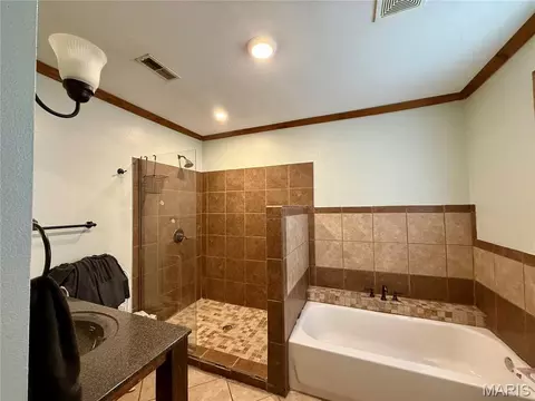 Bath - 206 S Lyons Ave, Naylor, MO 63953 photo 1 of 1