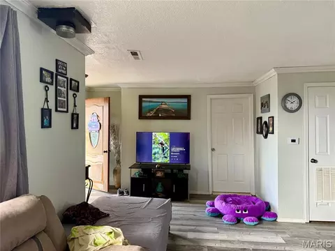 Other - 206 S Lyons Ave, Naylor, MO 63953 photo 2 of 2
