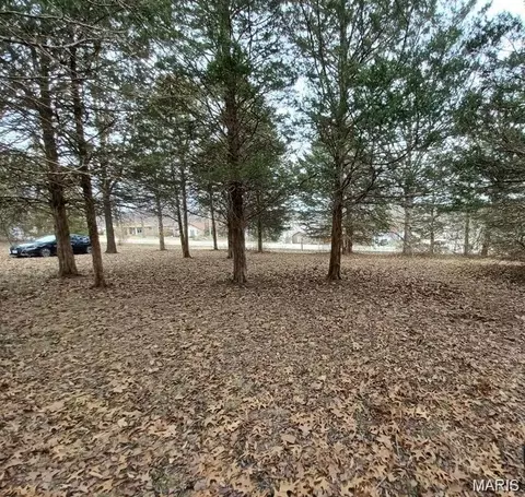 1987 Lakeshore Dr, Cuba, MO 65453 photo 4