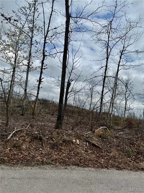 1365 County Road 3500, Mountain View, MO 65548 photo 3