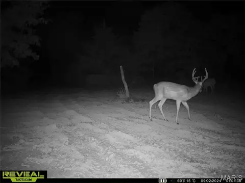 Bedroom - 2 Whitetail Ridge Rd, Eolia, MO 63344 photo 3 of 3